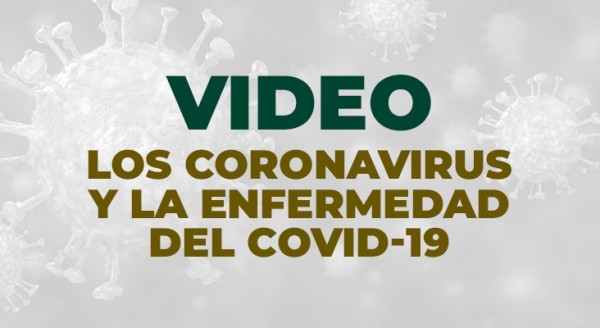 Video sobre los coronavirus y la enfermedad del COVID-19